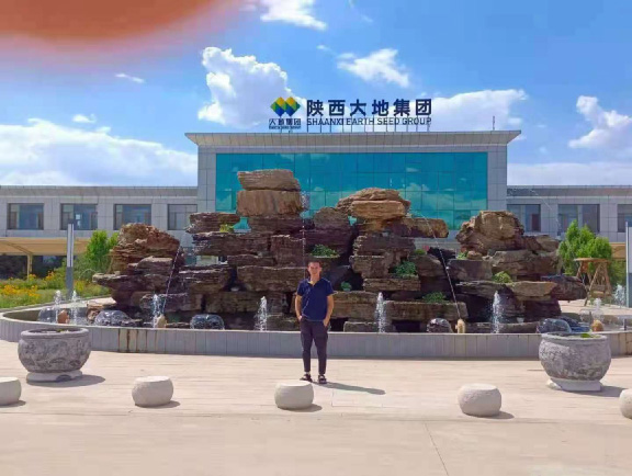 陕西大地集团