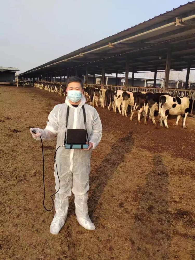 商丘科迪智慧牧场牛b超培训