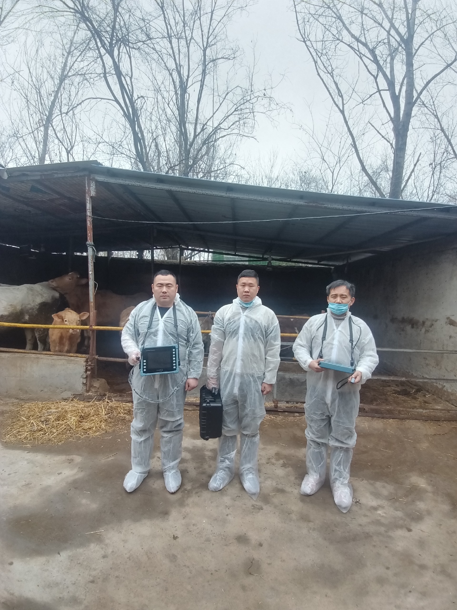 安徽客户牛用B超培训教学