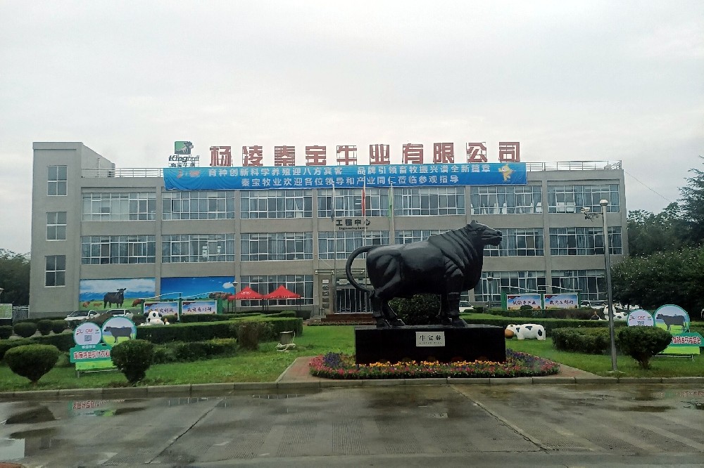 杨凌秦宝牛业牛用彩超机培训