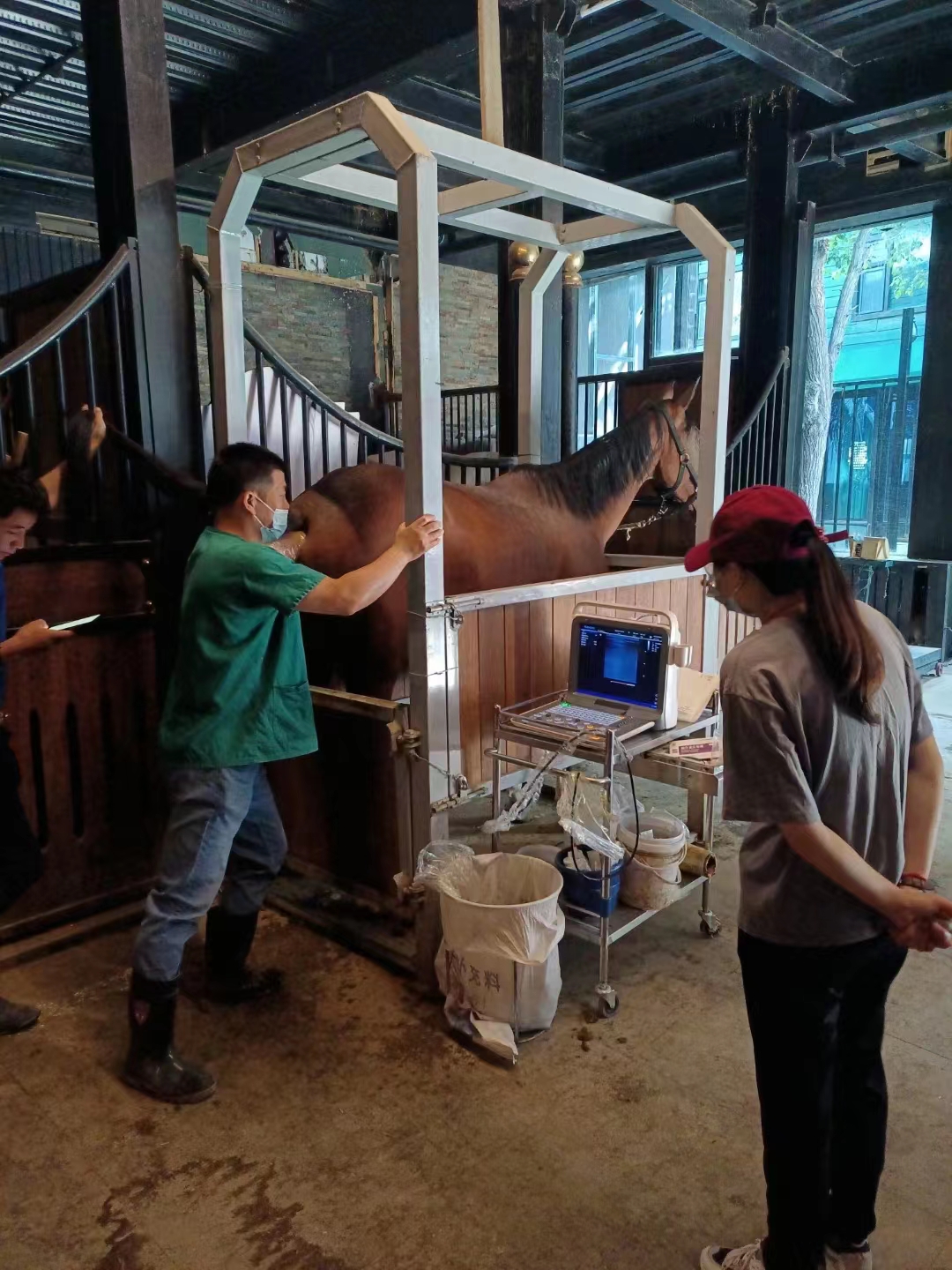 野马集团汗血宝马B超装机培训