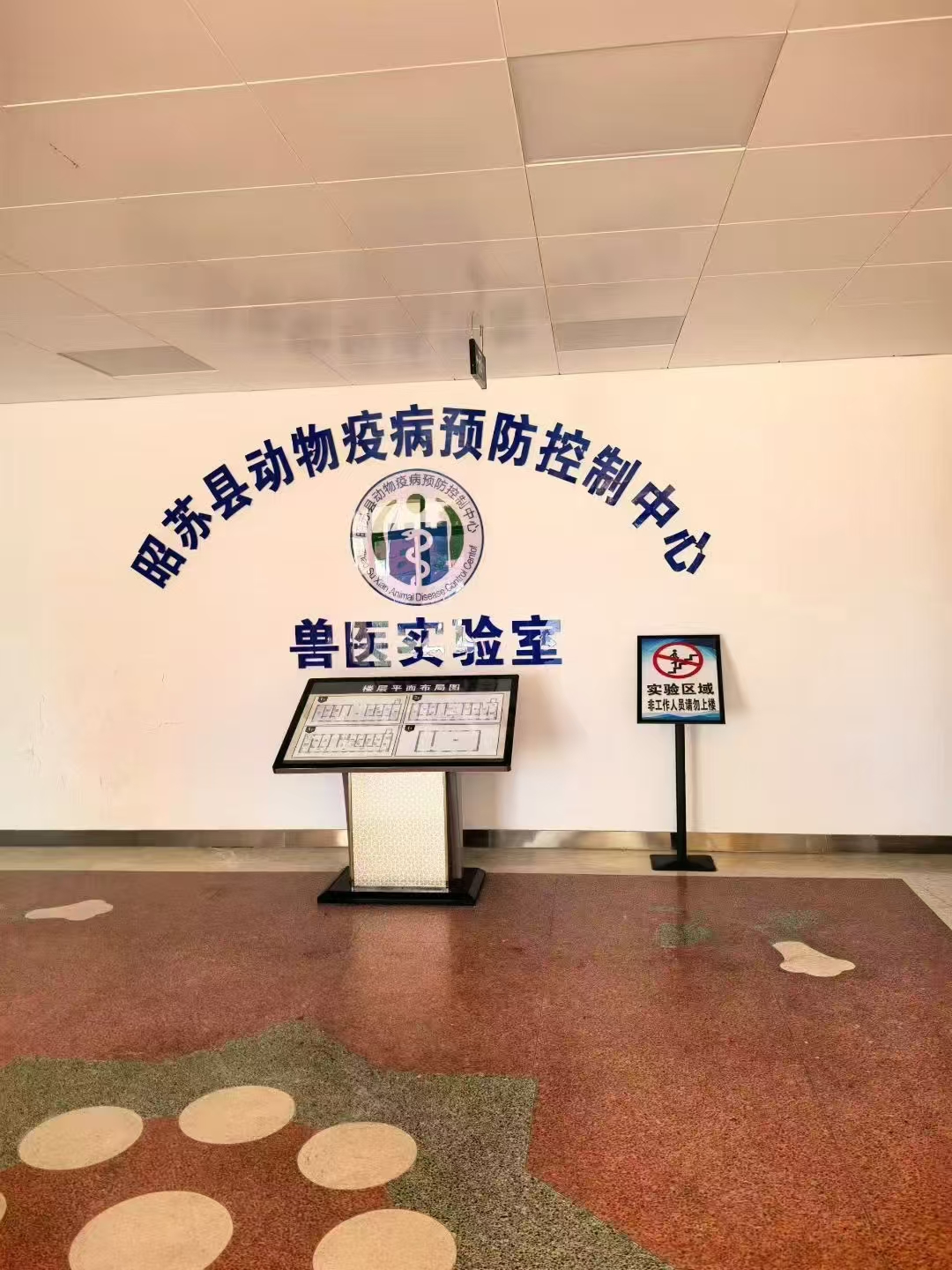 新疆昭苏县动物防疫中心实验室B超培训